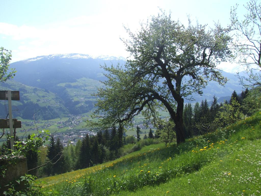 Ferienwohnung Lehenhof Ried im Zillertal Værelse billede