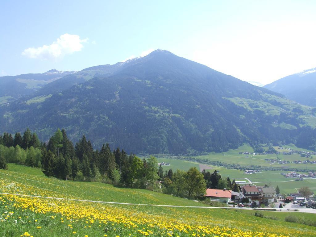Ferienwohnung Lehenhof Ried im Zillertal Værelse billede