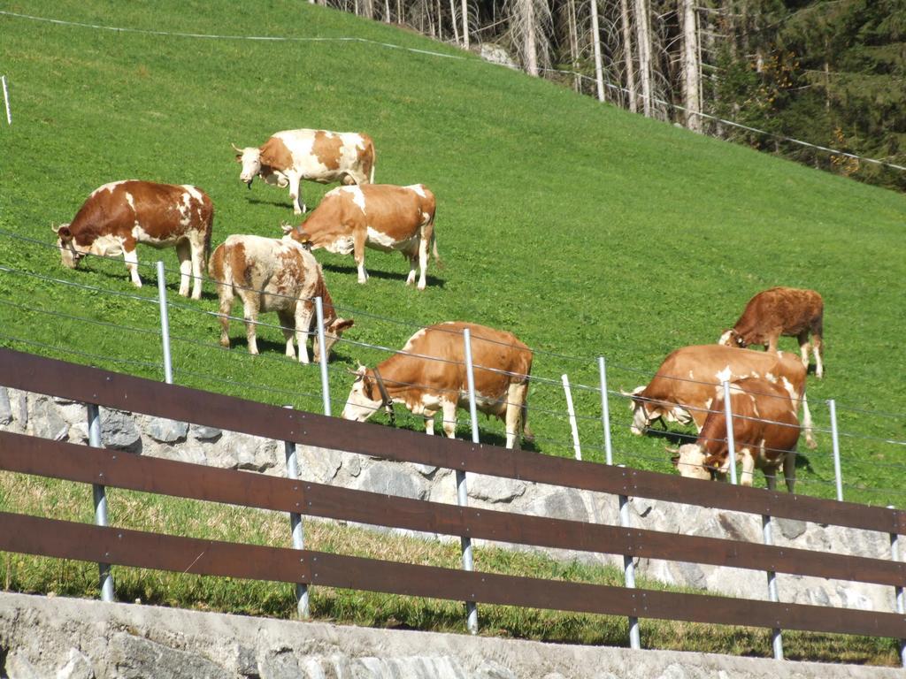 Ferienwohnung Lehenhof Ried im Zillertal Værelse billede